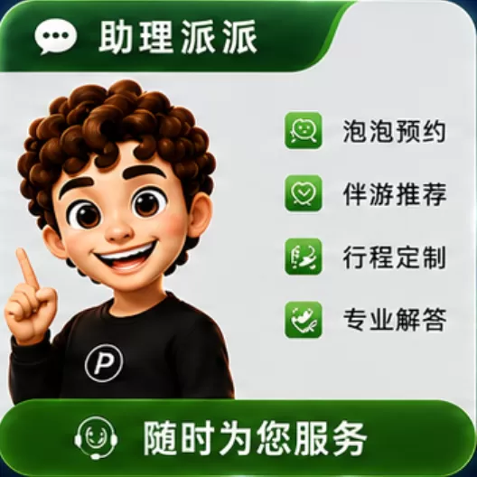 助理派派
