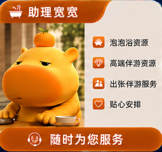 助理宽宽