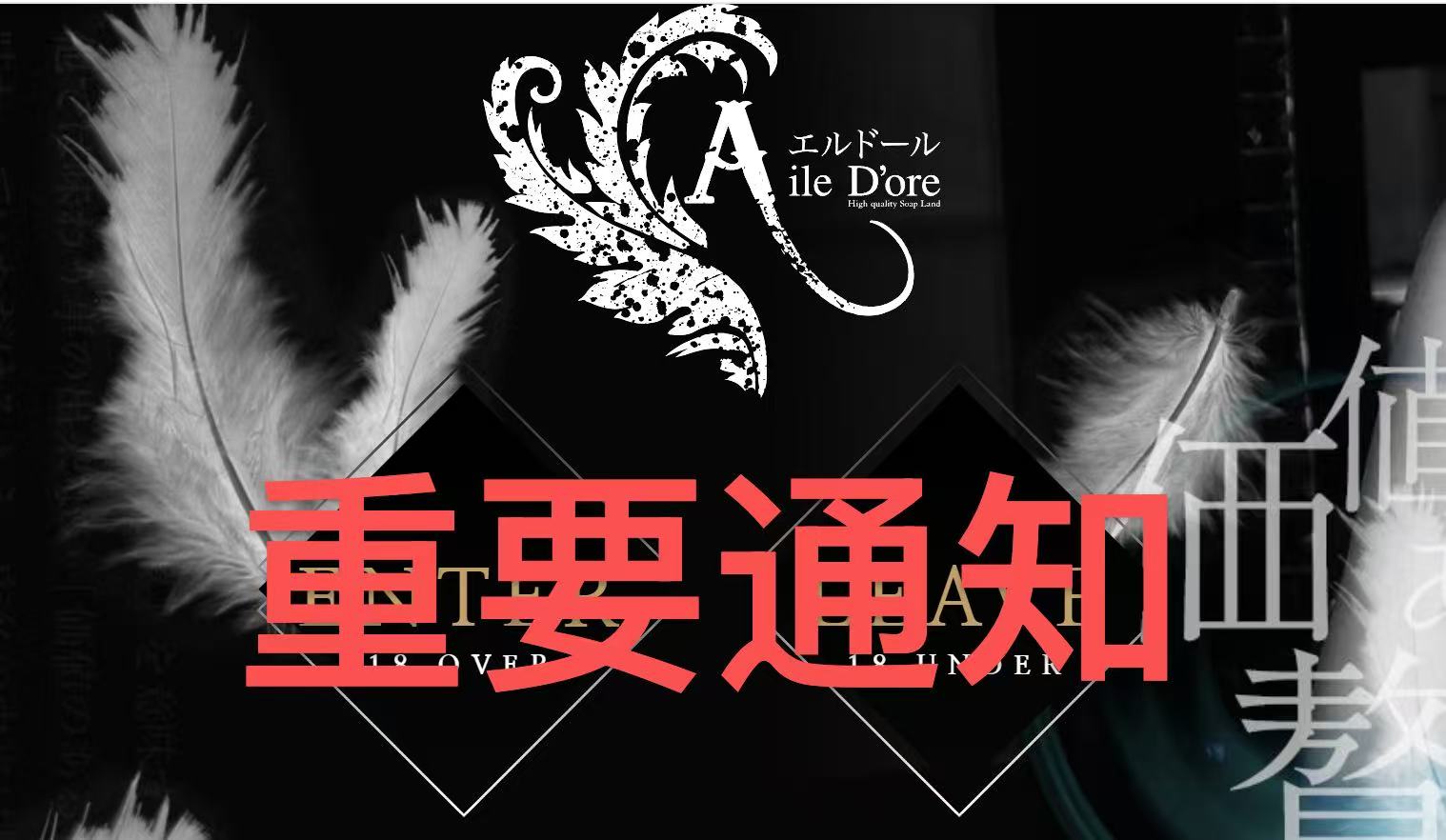 AileDORE|Giardino临时闭店