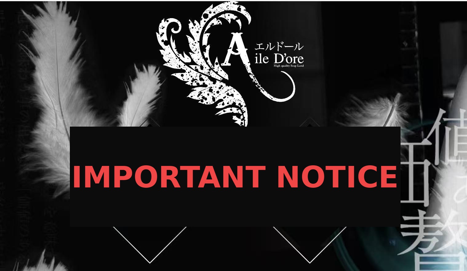 AILE DORE Temporarily Closed: What Booked Guests Should Do